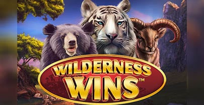 Wilderness Wins
